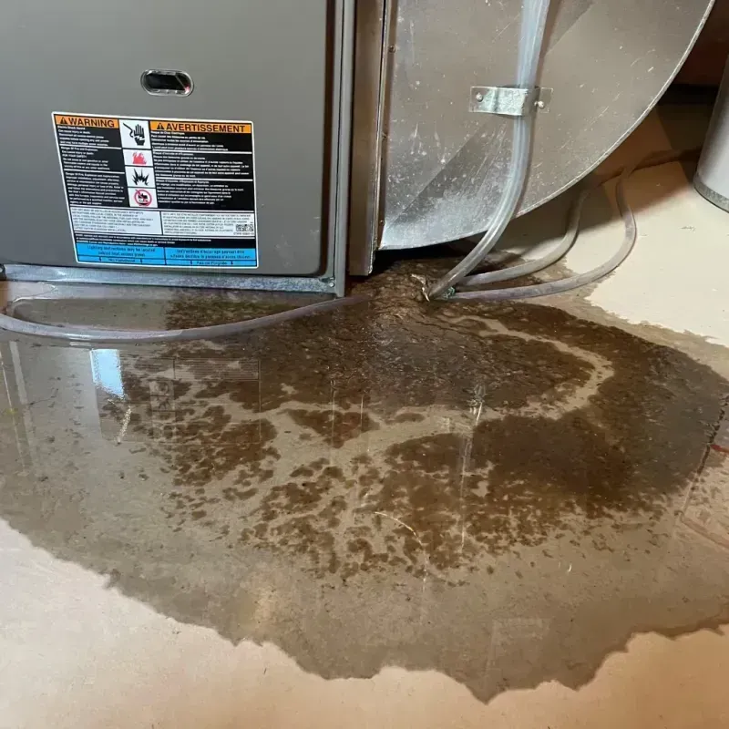 Appliance Leak Cleanup in Summit County, UT